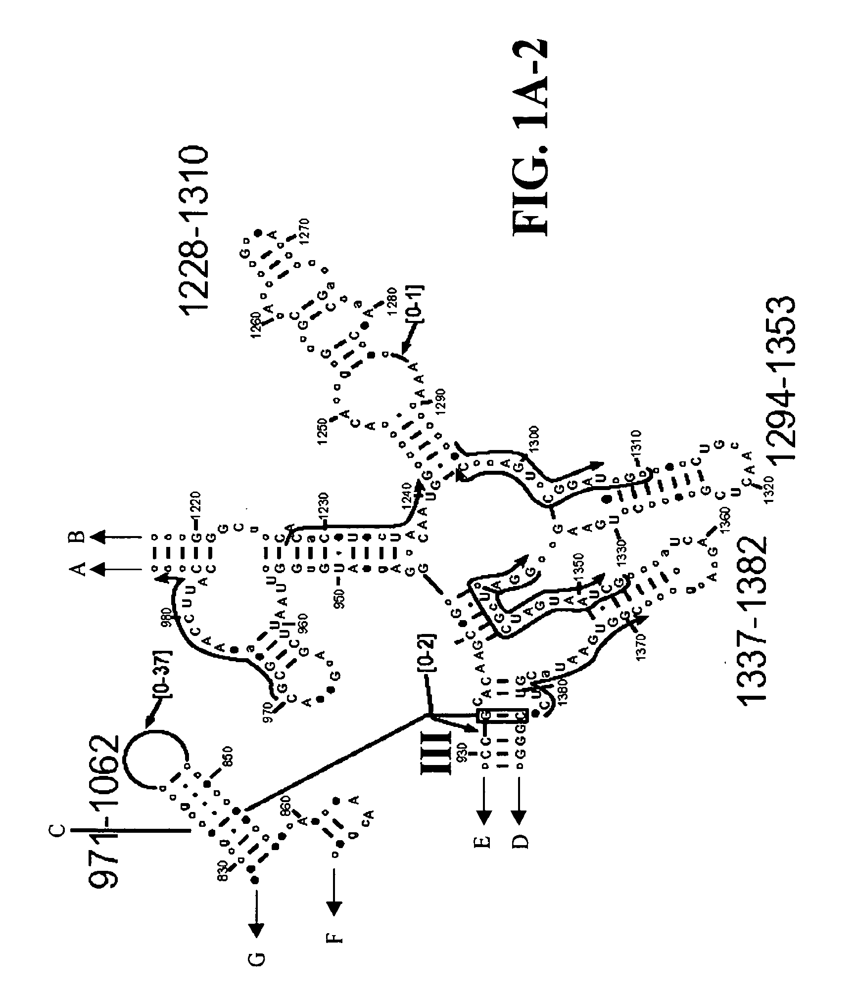 Methods For Rapid Identification Of Pathogens In Humans And Animals