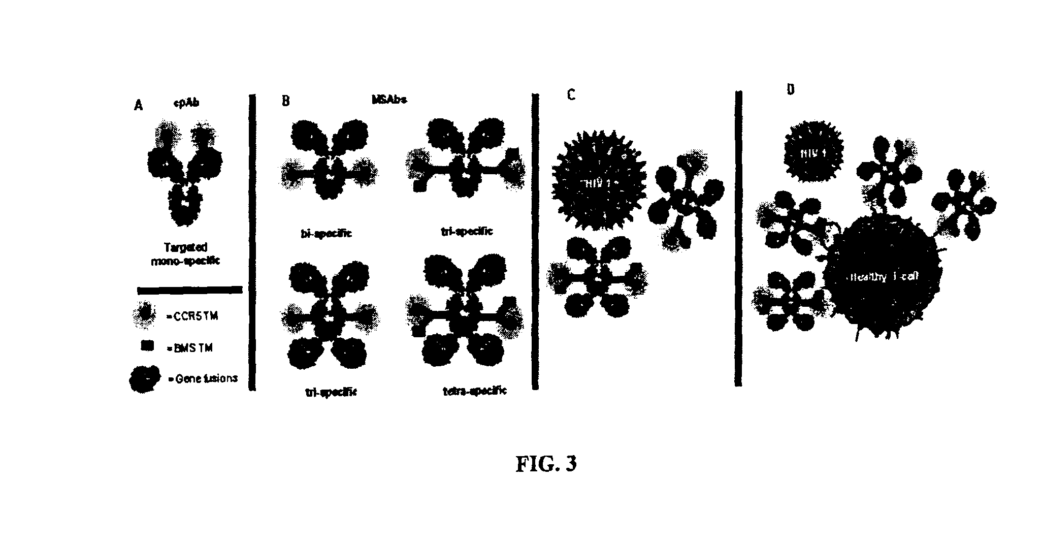 Tyrosine bioconjugation through aqueous Ene-like reactions