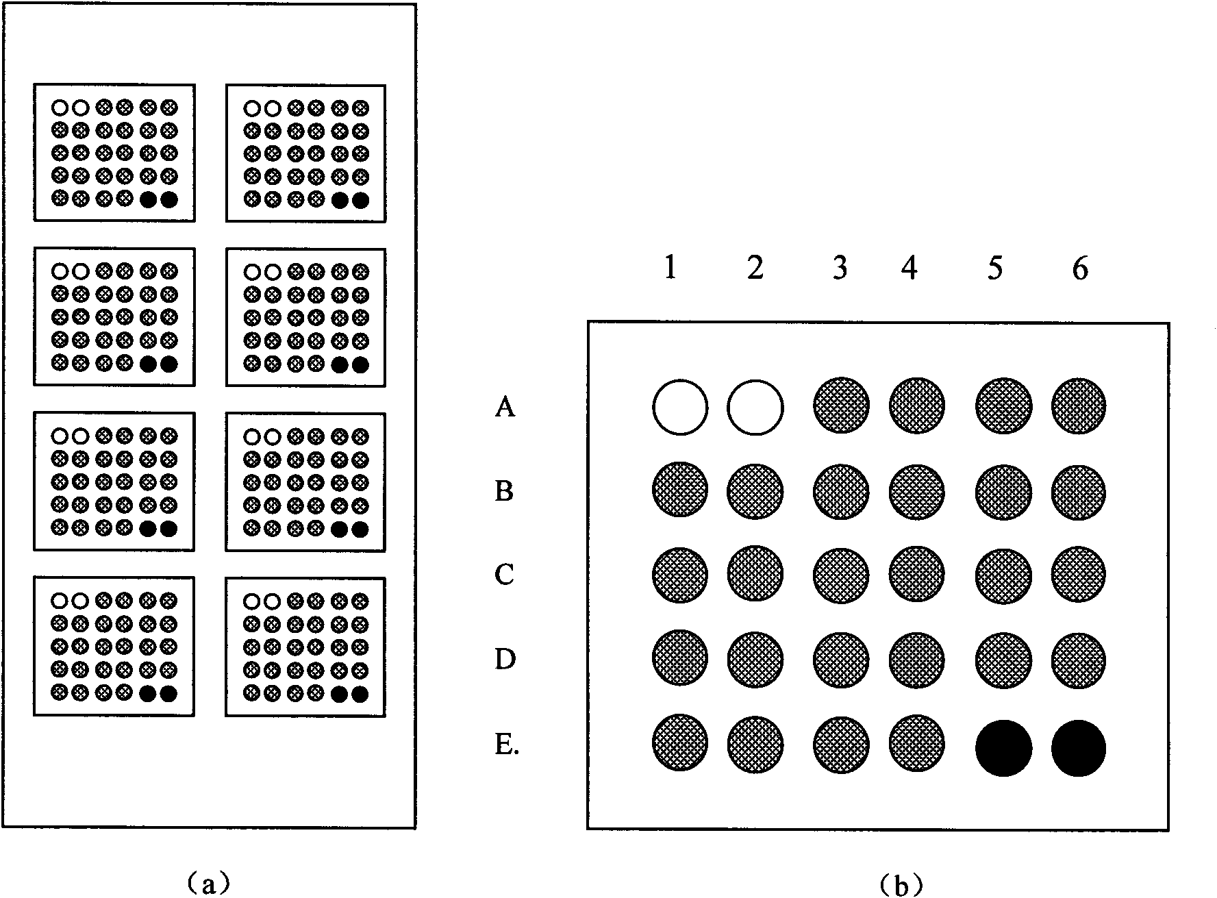 Fast typing detection method of high-flux visualized HPV (Human Papilloma Virus) gene chip