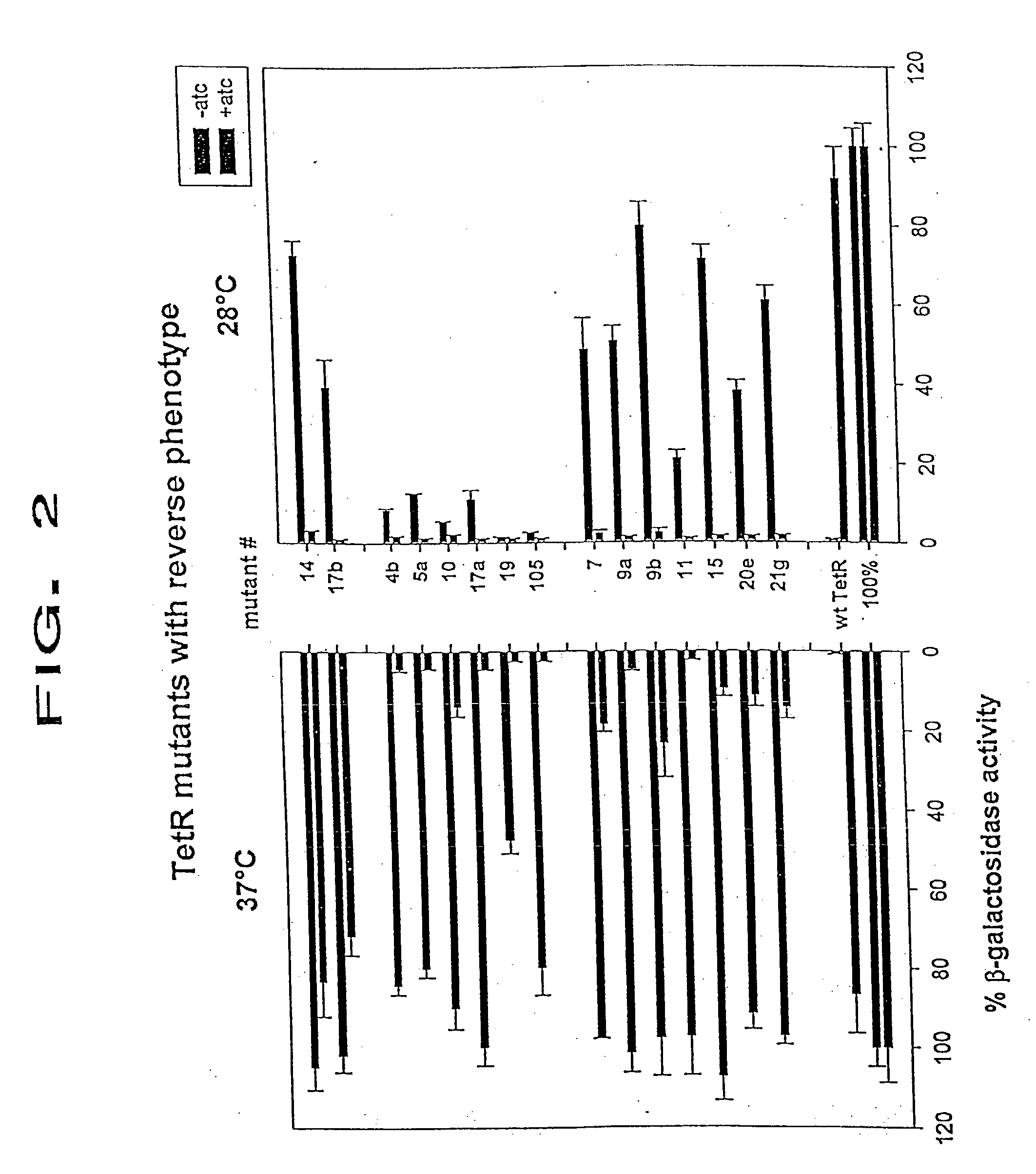 Modified tetracycline repressor protein compositions and methods of use