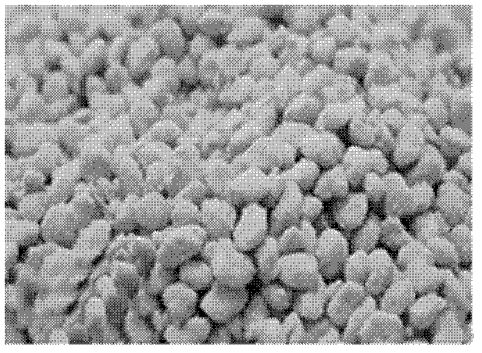 Preparation method of rape bee pollen long chain fatty acids and derivatives thereof