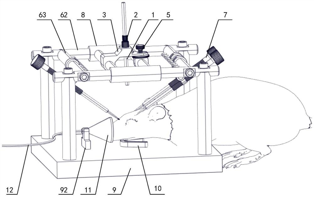 Rat craniocerebral model preparation device