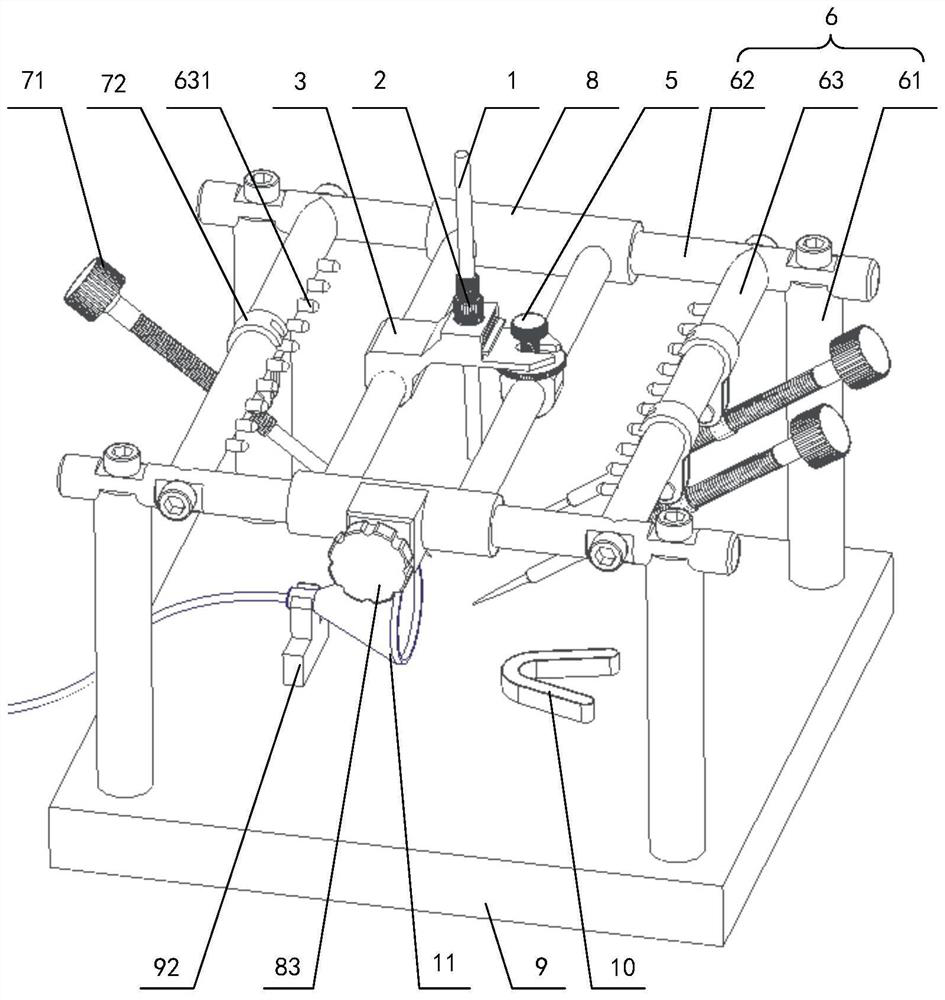 Rat craniocerebral model preparation device