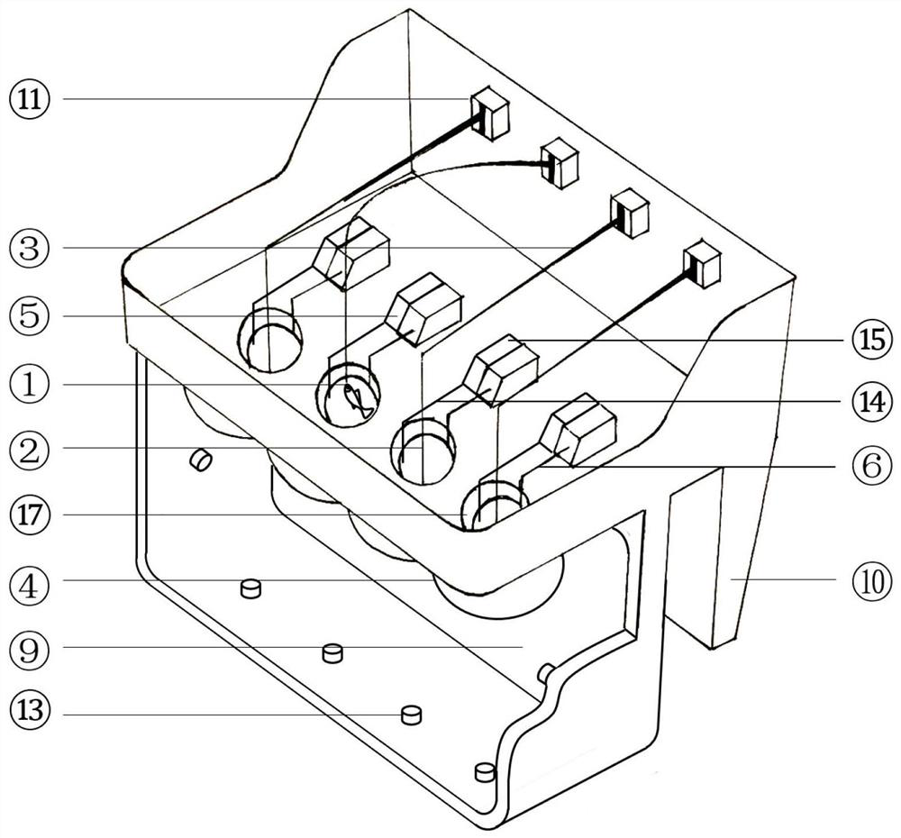 A zebrafish pain memory and addiction behavior experimental device and method