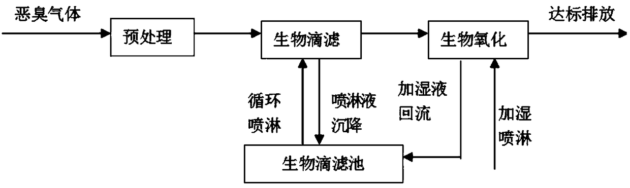 A method for preparing algae powder by drying cyanobacteria without peculiar smell