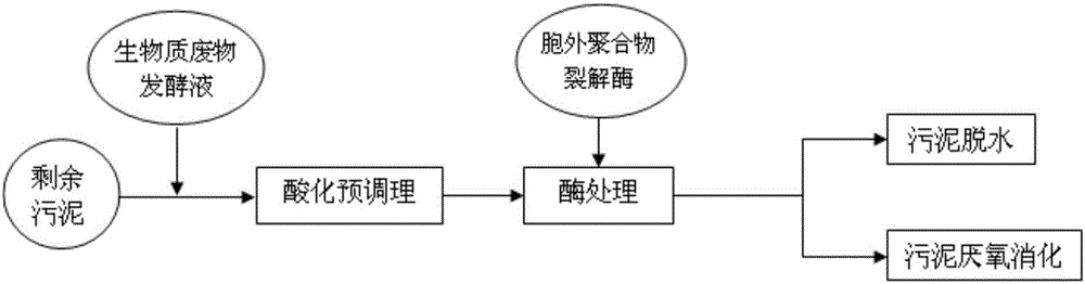 Method for pretreating surplus sludge by using extracellular polymer lyase