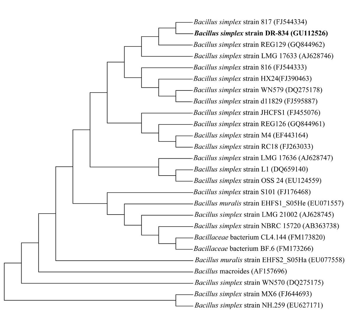 Immunopotentiator proline-glycocoll cyclic tetrapeptide (C14H20N404) and application