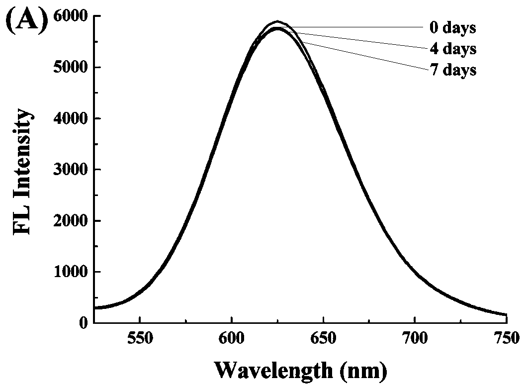 Light emitting system of ribonuclease and inhibitor sieving of ribonuclease, preparation method and application of light emitting system