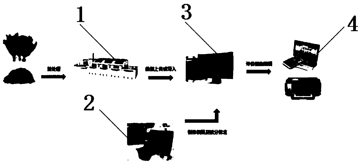 Flue-cured tobacco smoke safety detection method and system, storage medium and computer program