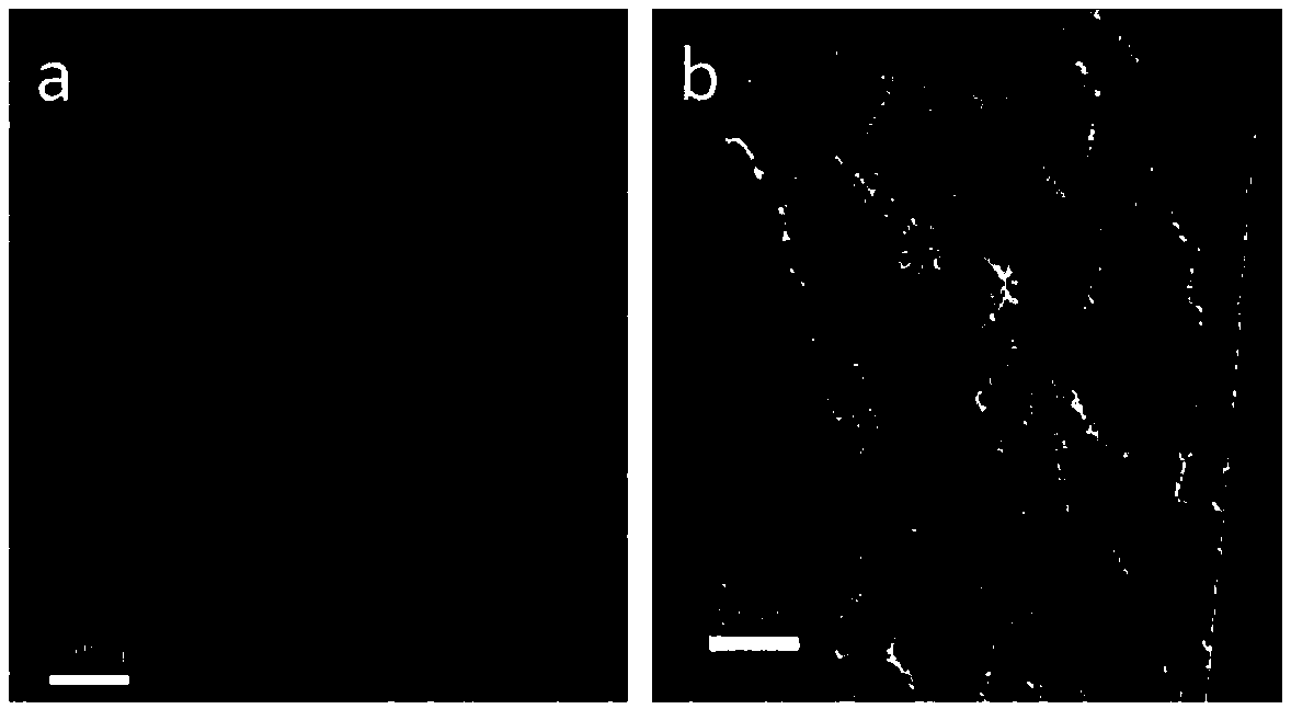 Ionic POSS-containing block copolymer composite proton exchange membrane and preparation method thereof