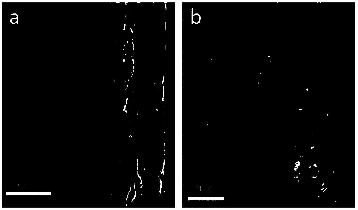 Ionic POSS-containing block copolymer composite proton exchange membrane and preparation method thereof