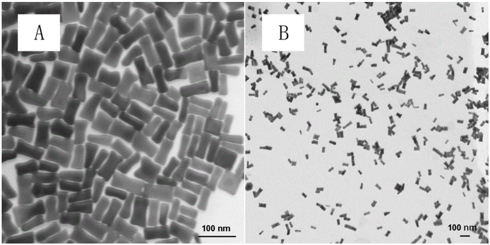 Accelerator capable of improving functionalization process of adoptive DCs (Dendritic Cells), as well as preparation method and application of accelerator