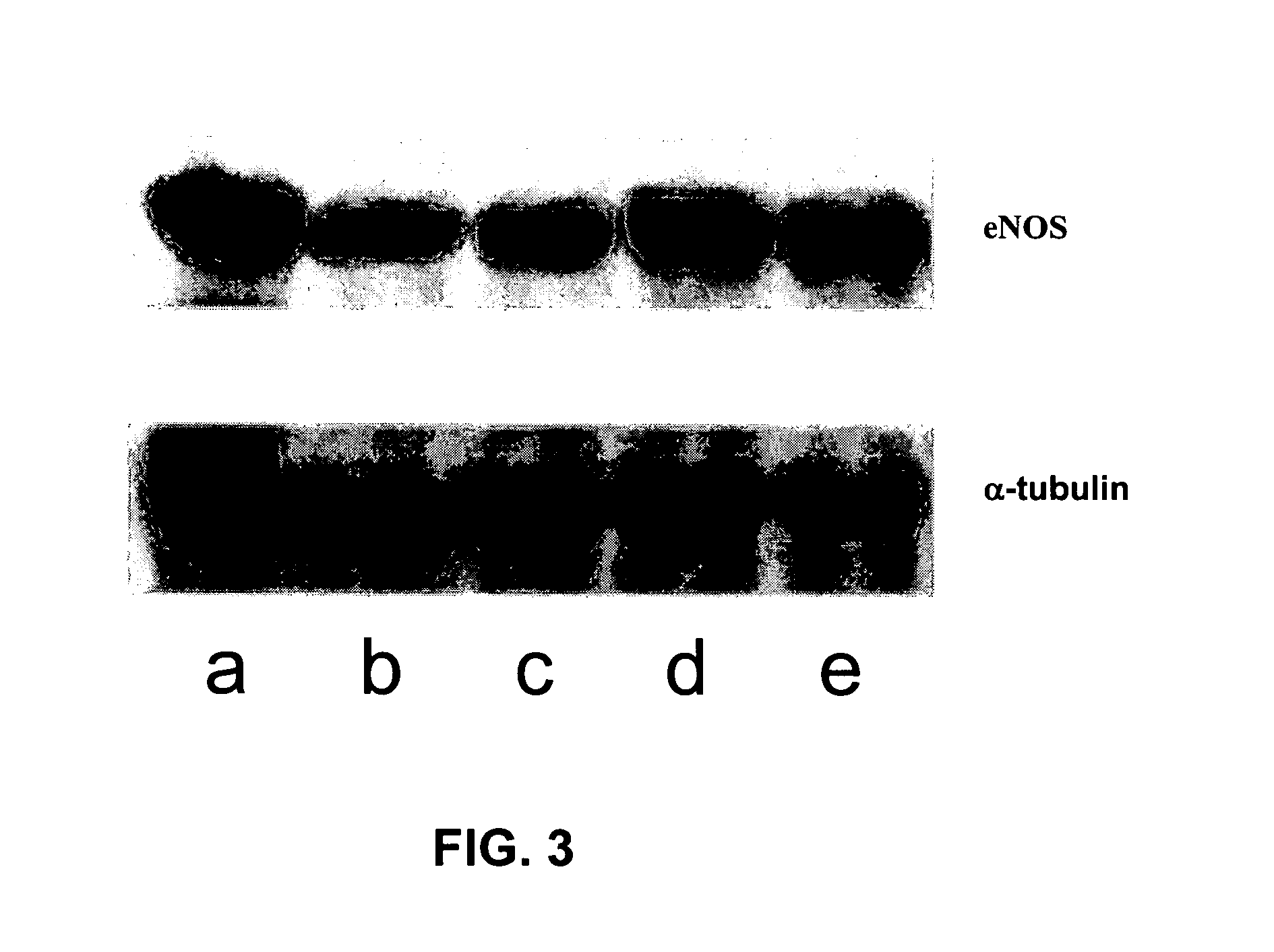 Aporphine and oxoaporphine compounds and pharmaceutical use thereof