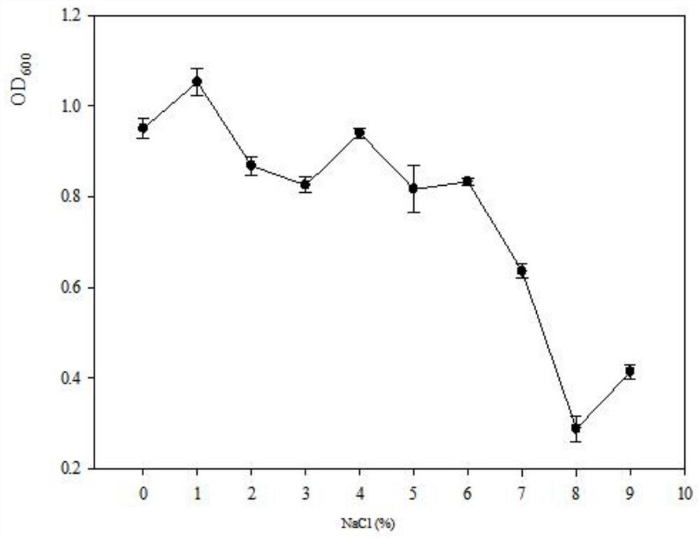 Saline-alkali tolerant growth-promoting bacterium YS-AT1 capable of secreting IAA and application thereof