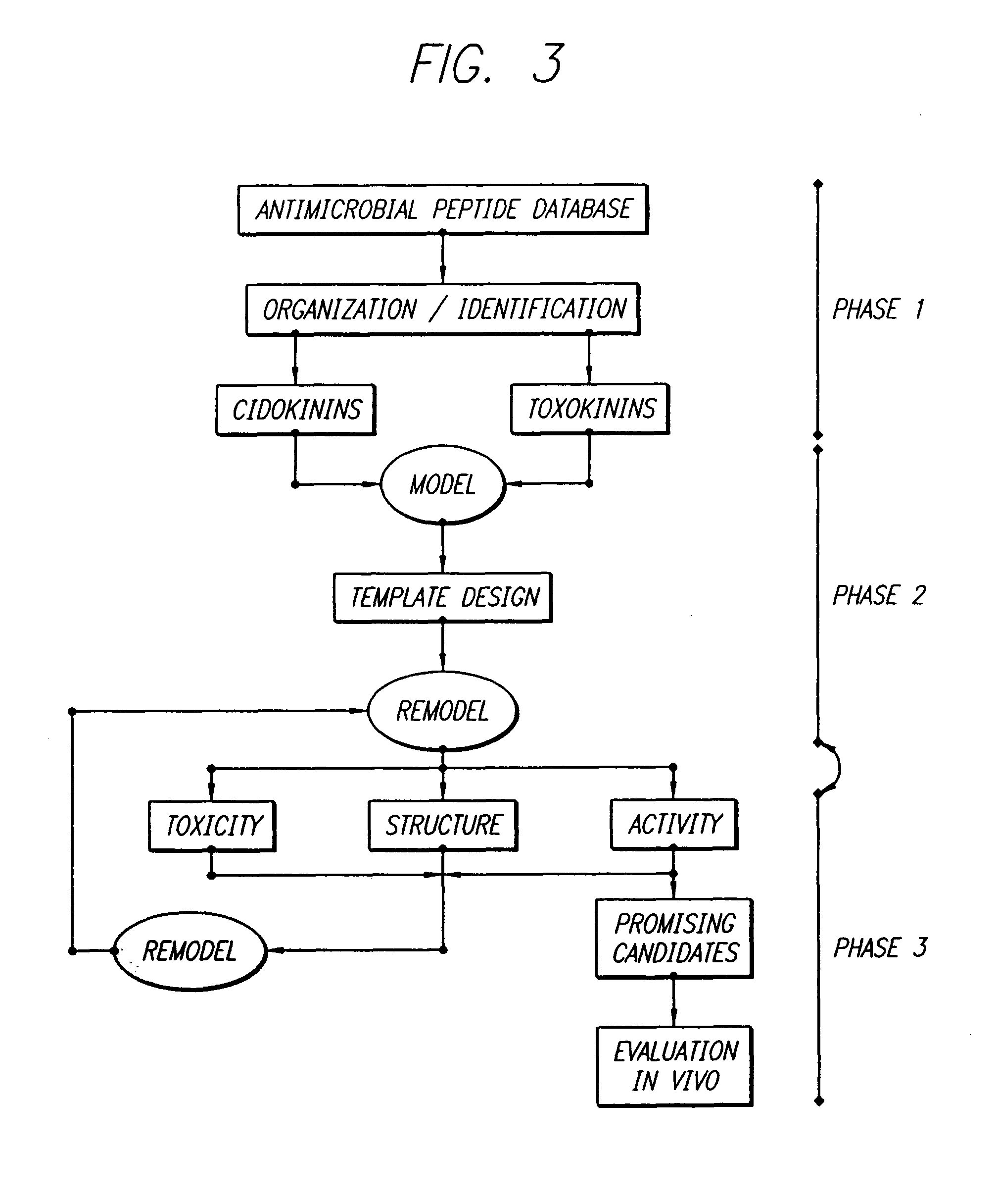 Antimicrobial peptides and derived metapeptides