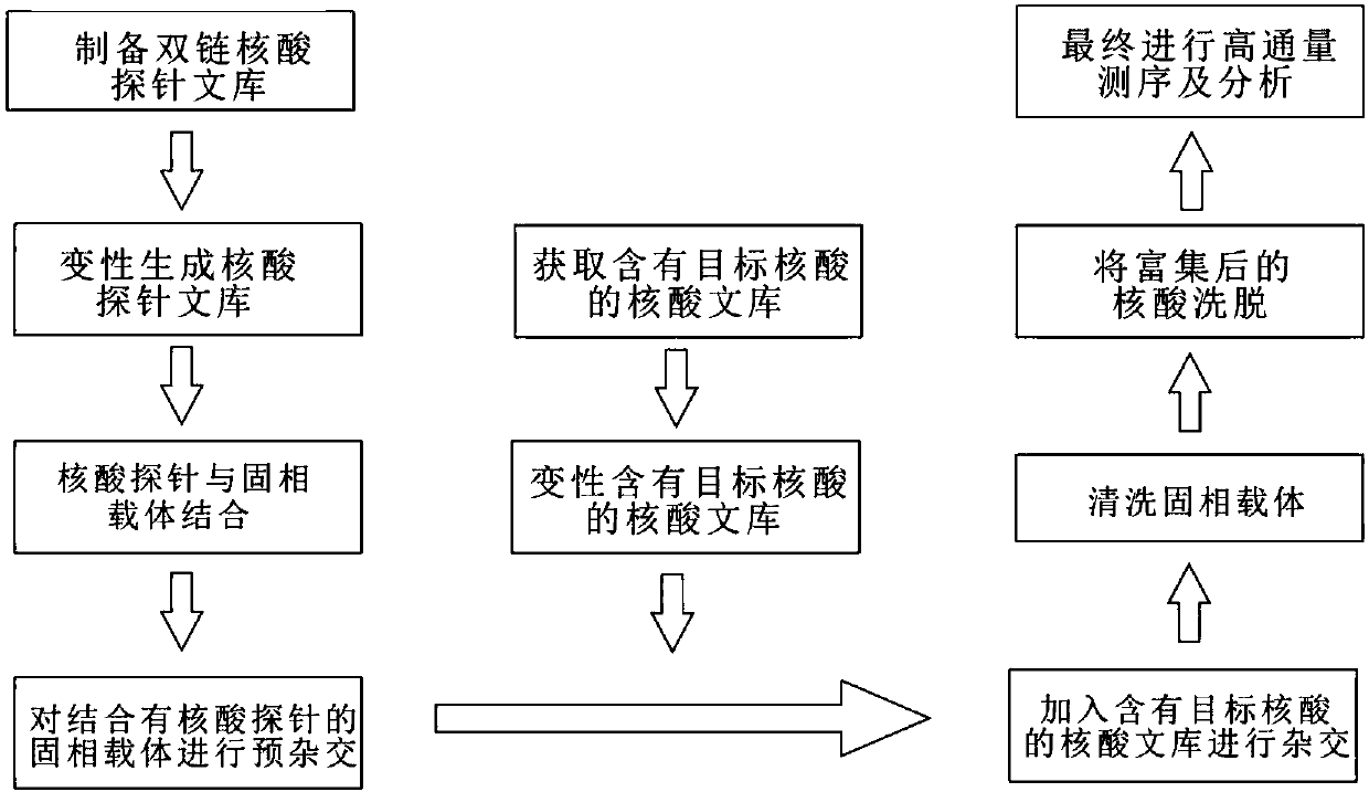 Solid-phase-carrier-membrane-based target nucleic acid enrichment method for high-throughput sequencing