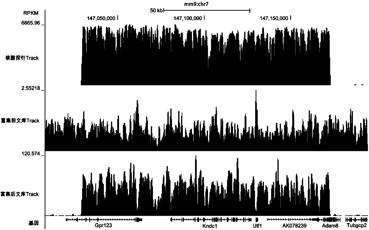 Solid-phase-carrier-membrane-based target nucleic acid enrichment method for high-throughput sequencing