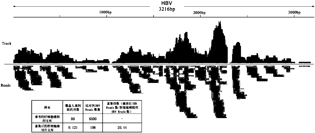 Solid-phase-carrier-membrane-based target nucleic acid enrichment method for high-throughput sequencing