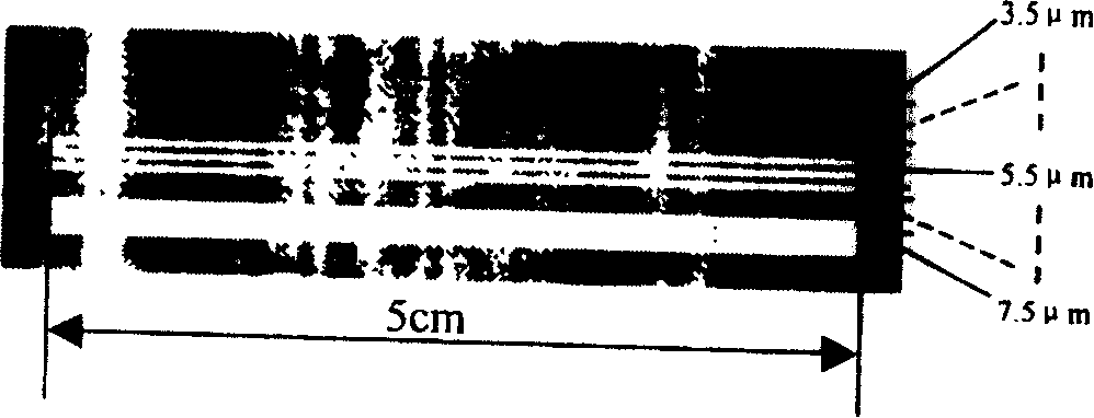 Silver ion use method for erbium waveguide amplifier making process