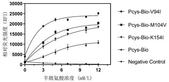 L-cysteine biosensor and application thereof