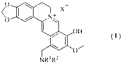 Berberrubine 12-site derivatives as well as preparation method and applications thereof