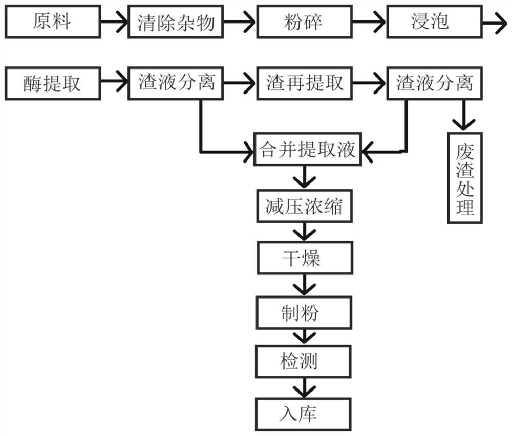 Method for extracting lentinan by two-step enzyme, lentinan extract and application of lentinan extract