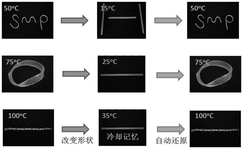 Mechanically responsive degradable materials with shape memory and temperature tunable