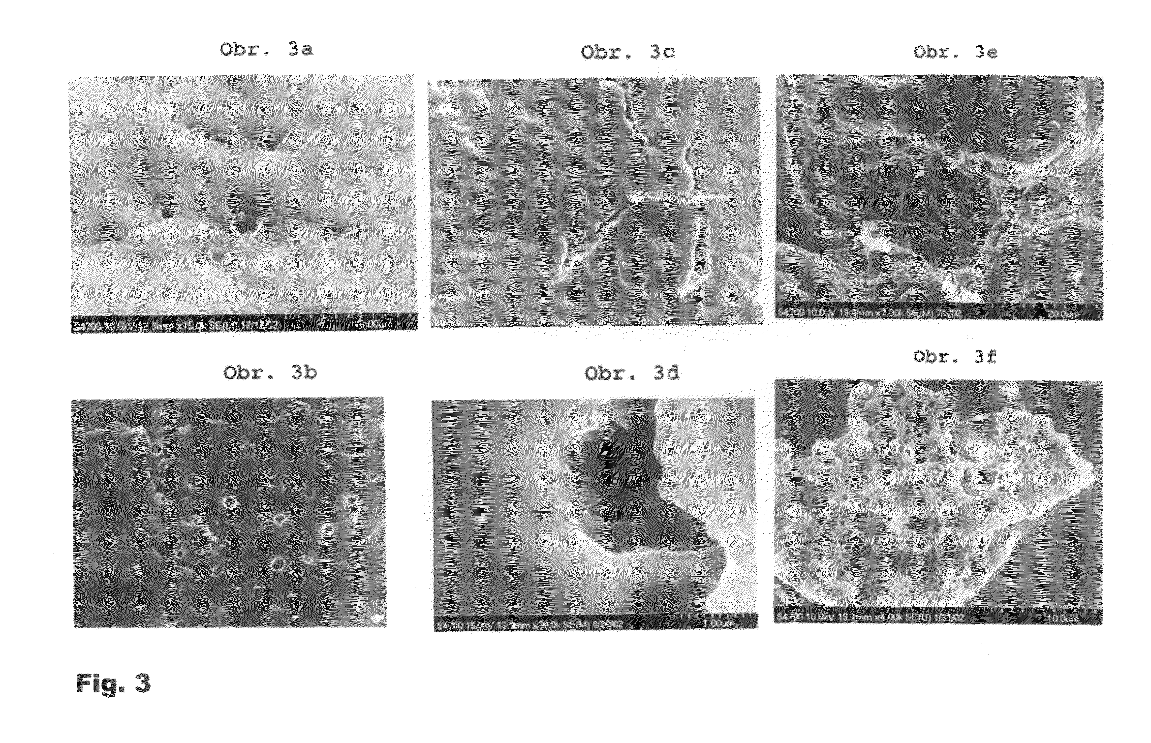 Agent for the prevention and treatment of the initial dental caries