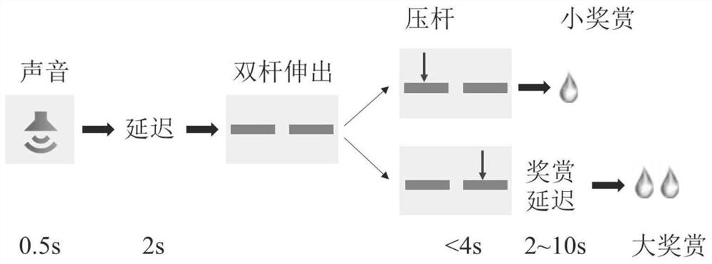 Construction method of delayed reward, advantage and disadvantage tradeoff decision-making behavioral model