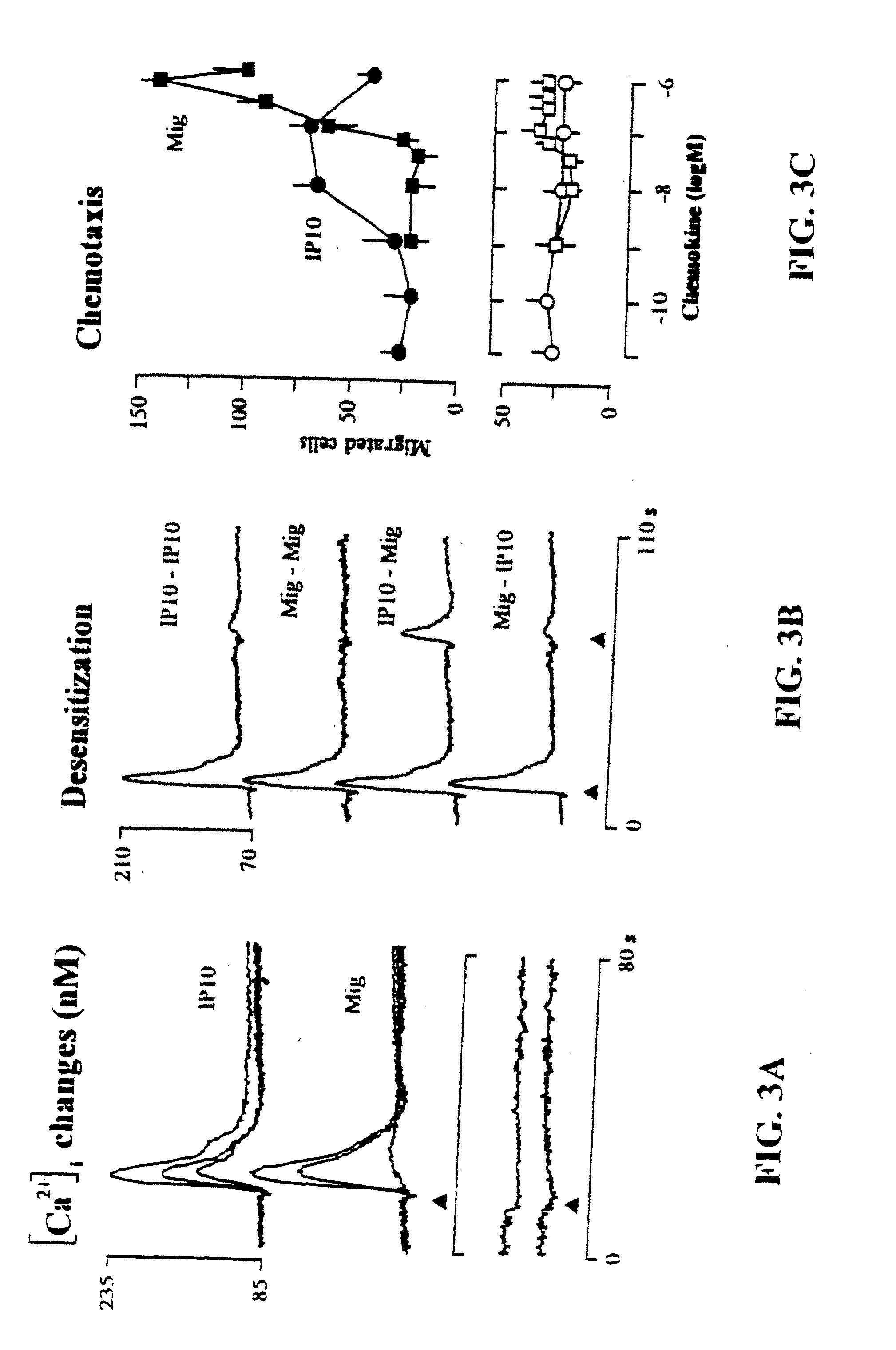 Method of inhibiting leukocytes with human cxc chemokine receptor 3 antibody