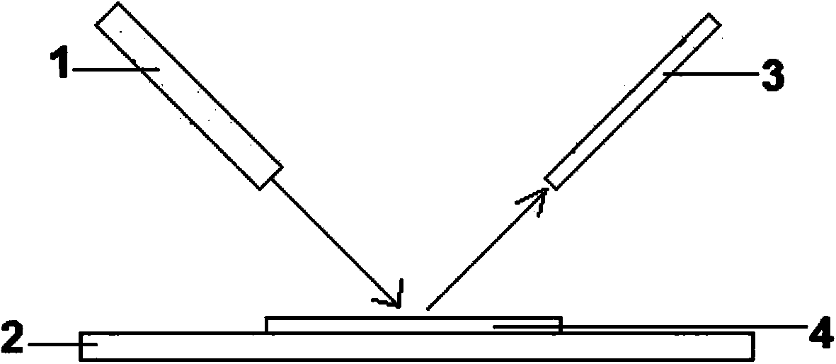 Pseudosciaena crocea storage time detection method