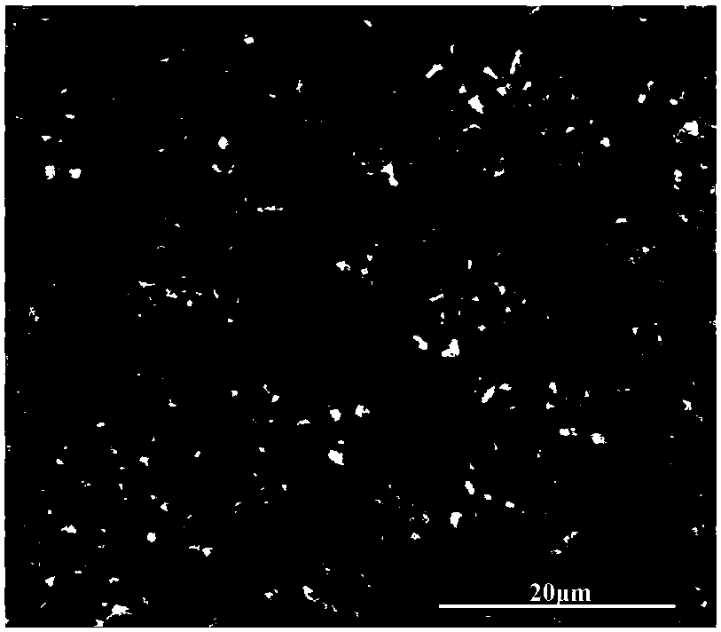 Electron collector material and preparation method of electron collector