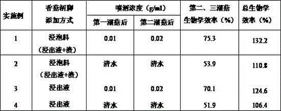 Cultivation method for pleurotus cornucopiae