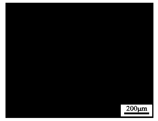 Elementary powder sintered iron-copper-based oil-containing anti-friction material and preparation method thereof