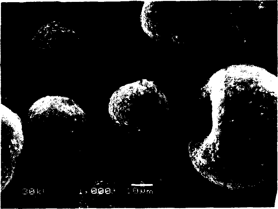 Silicon carbone compound negative polar material of lithium ion battery and its preparation method