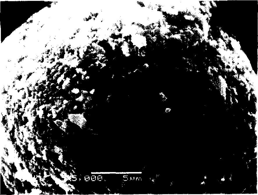 Silicon carbone compound negative polar material of lithium ion battery and its preparation method