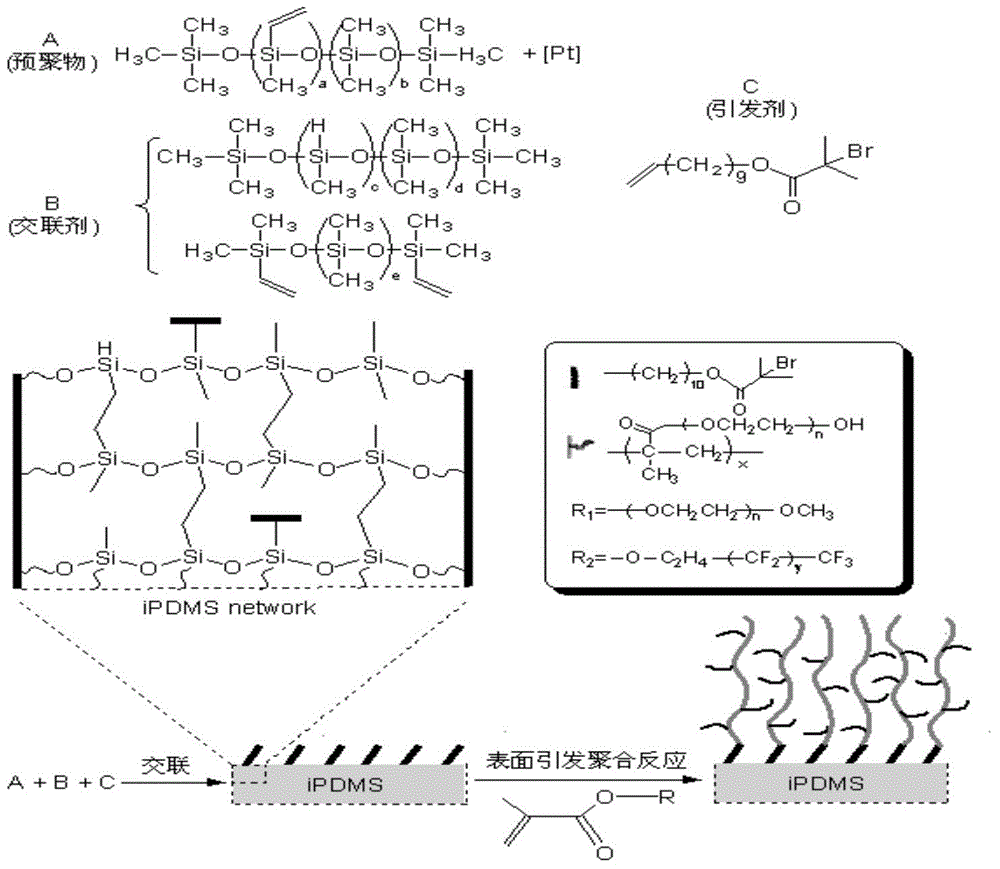 Polypeptide, detection device containing polypeptide and detection kit containing device