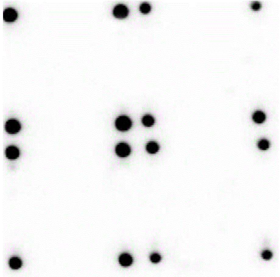 Polypeptide, detection device containing polypeptide and detection kit containing device