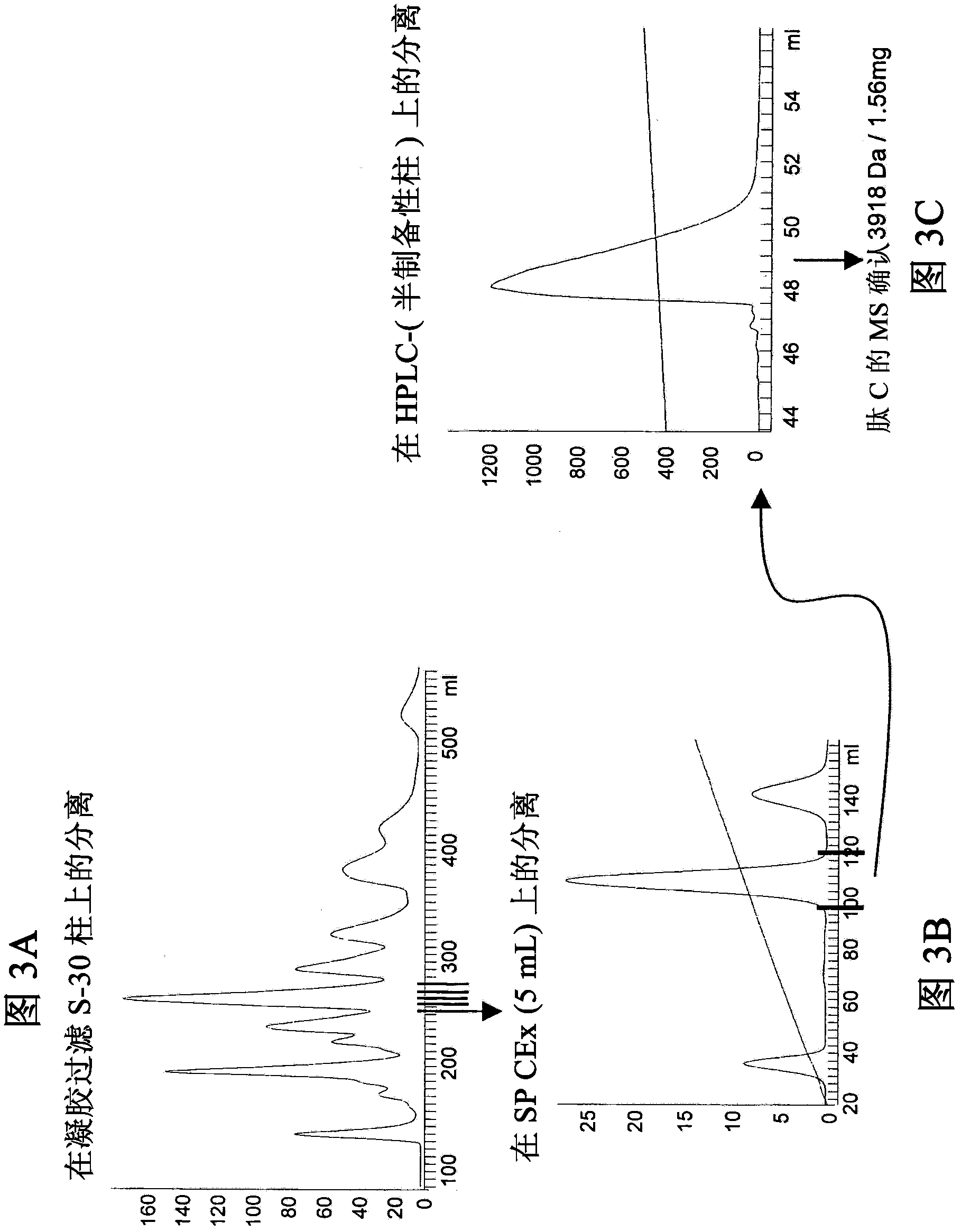 Novel peptides isolated from spider venom, and uses thereof