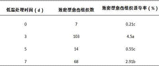 Method for acquiring asparagus homozygous diploid by culturing anther