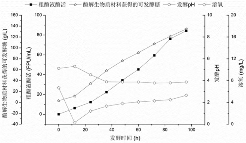 Method for high-yield production of cellulase by trichoderma reesei fermentation