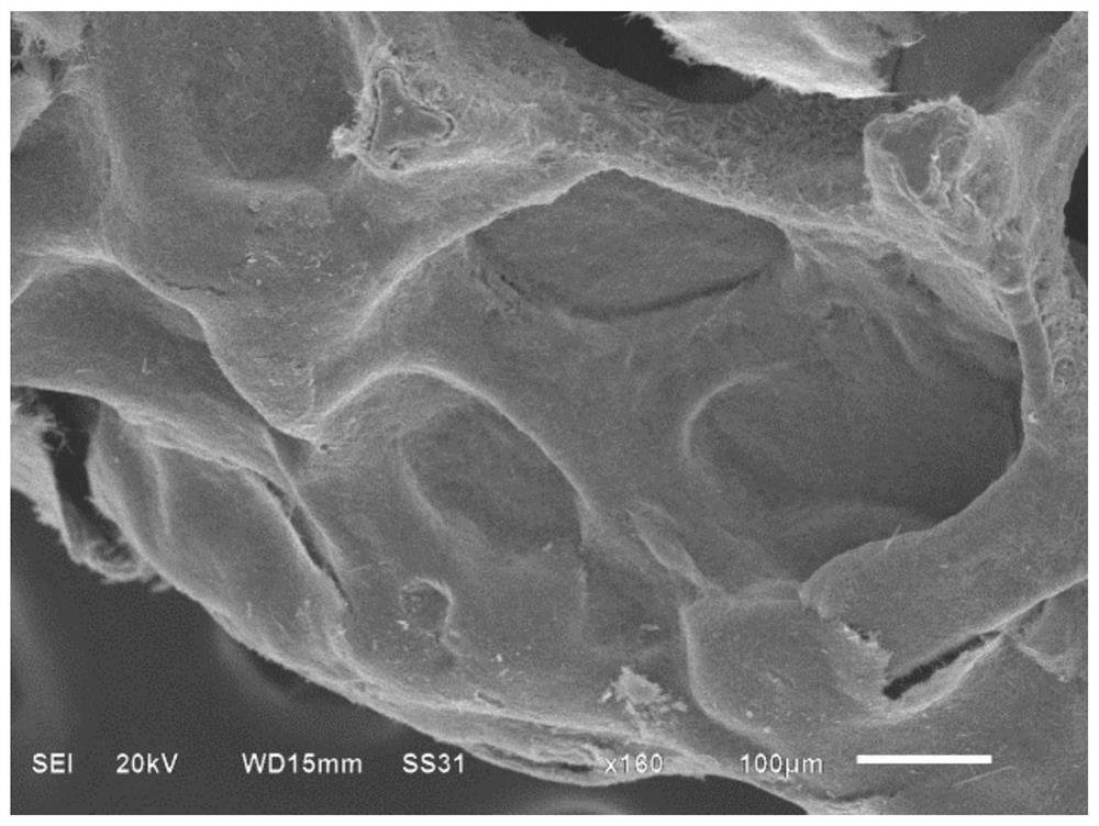 Preparation method of vanadium oxide nanobelt/nickel foam composite self-supporting electrode material