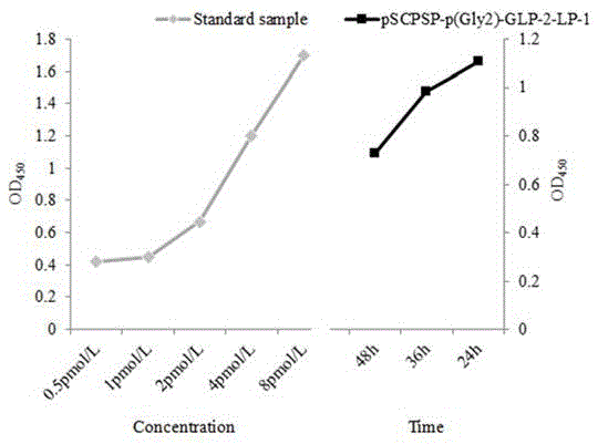 Fixed point-modified swine GLP-2 recombinant lactobacillus plantarum and preparation method and application thereof