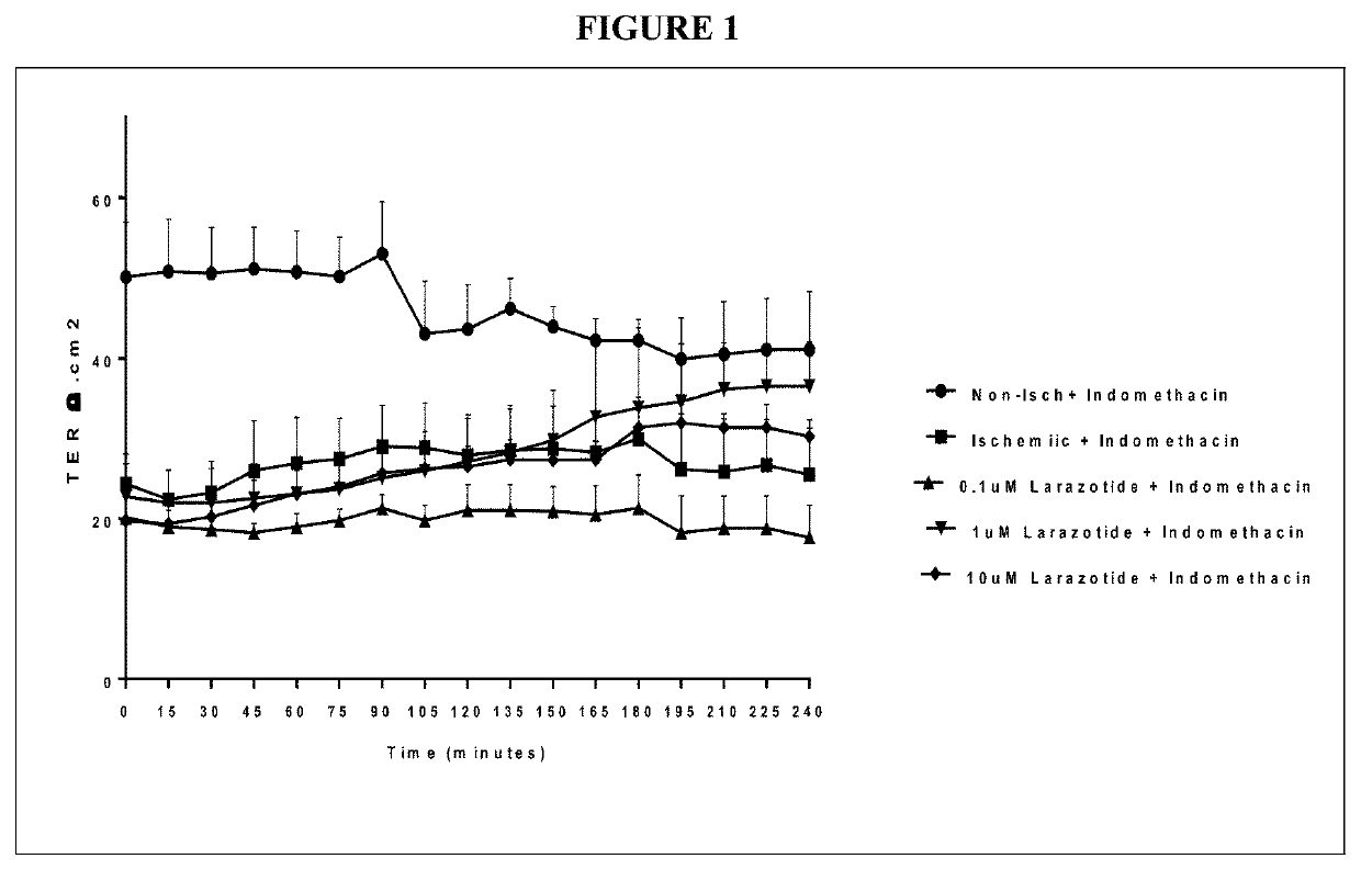 Compositions and methods for treating or preventing gastrointestinal damage associated with nsaid therapy