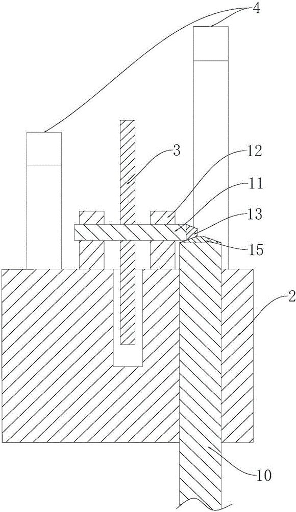 Aloft pruning apparatus