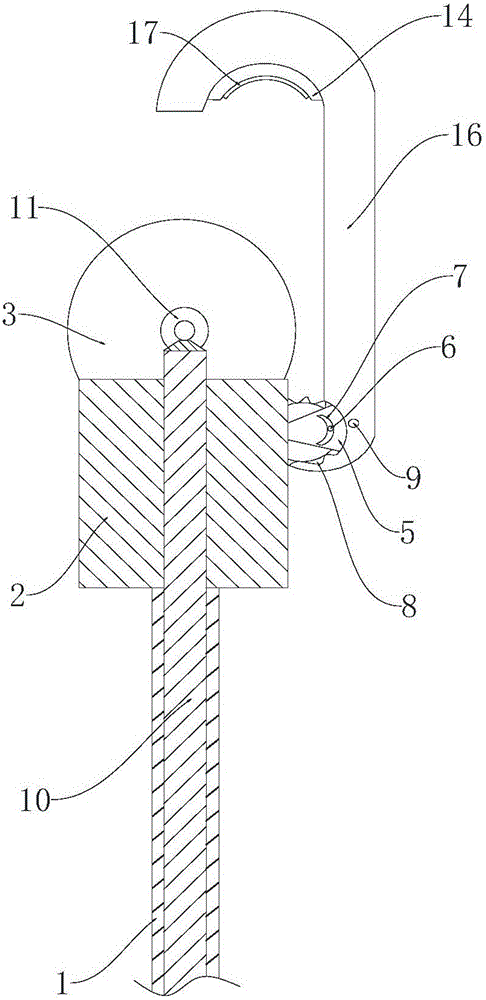 Aloft pruning apparatus