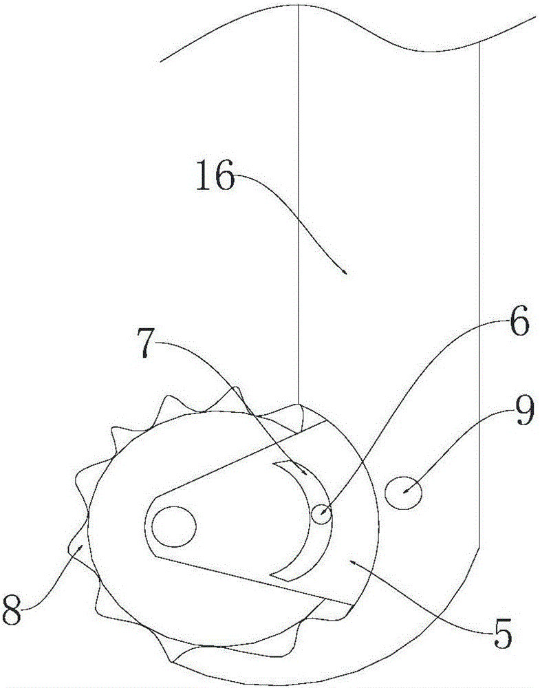 Aloft pruning apparatus