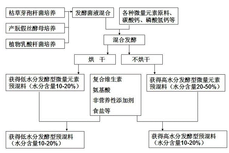 Fermentation trace element premix and preparation method thereof as well as fermentation composite premix and preparation method thereof