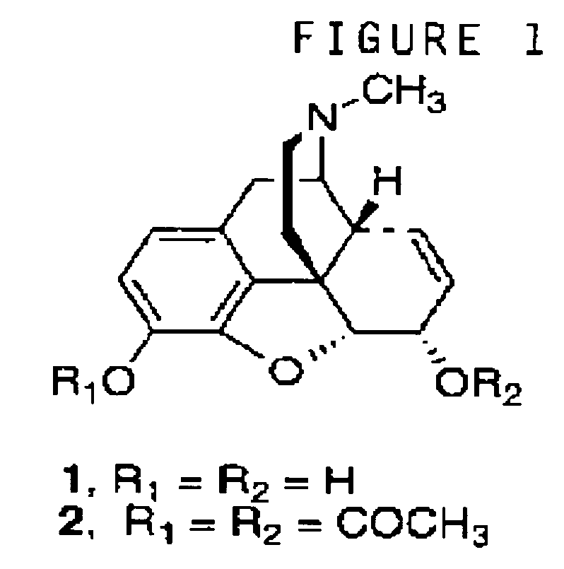 Opioid receptor agonist compounds and their use in treatment of pain