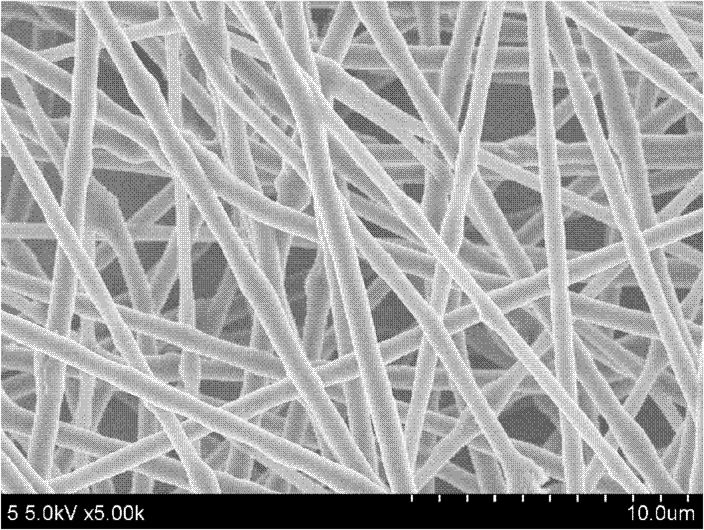 Method for preparing cellulose nanocrystal reinforced polyhydroxybutyrate-hydroxyvalerate (PHBV) nanofiber